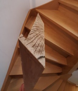 20201221_115132.jpg