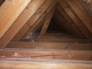 IMG_20201221_121252.jpg