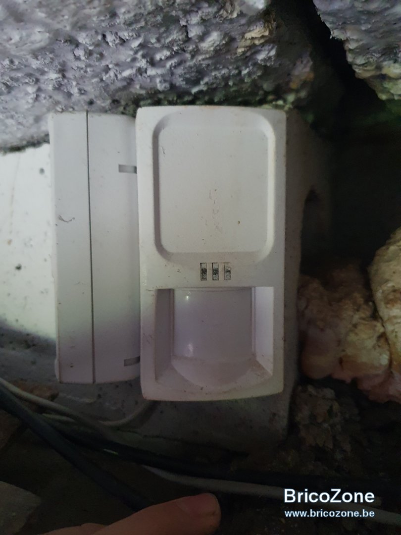 20201225_103935.jpg