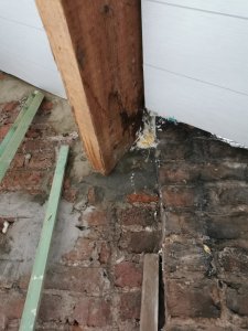 IMG_20201228_121220.jpg
