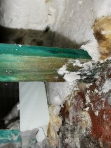 IMG_20201228_122053.jpg
