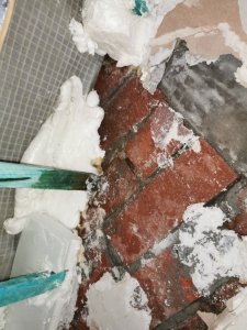 IMG_20201228_122115.jpg