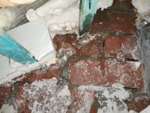 IMG_20201230_092944.jpg