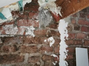 IMG_20201230_105042.jpg