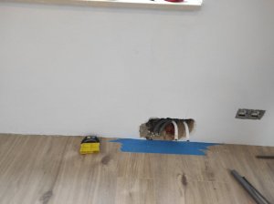 radiateur3.jpg