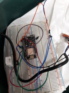 136391121_249539859919259_1688852758786671256_n.jpg