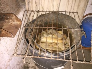 IMG_4120.JPG