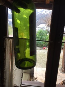 IMG_4971.JPG