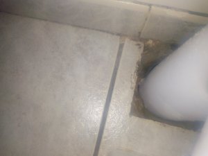 IMG_20210124_191327962.jpg