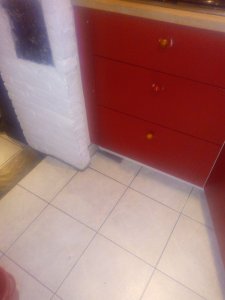 IMG_20210122_194120673.jpg