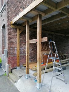 IMG_20210130_134525_1.jpg