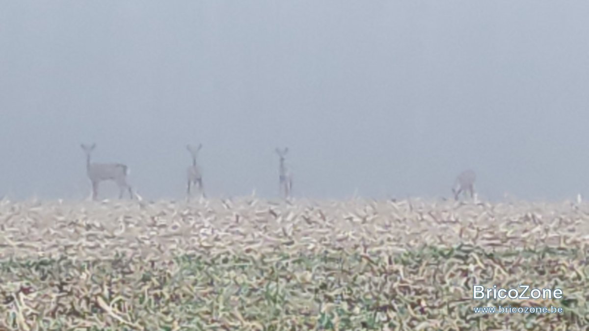 IMG-20210227-WA0003.jpeg