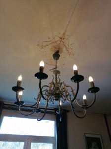 IMG_20210305_165433.jpg