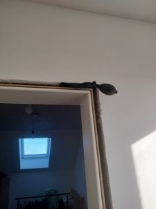 IMG20210306091401.jpg