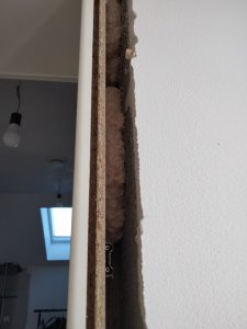 IMG20210306094932.jpg