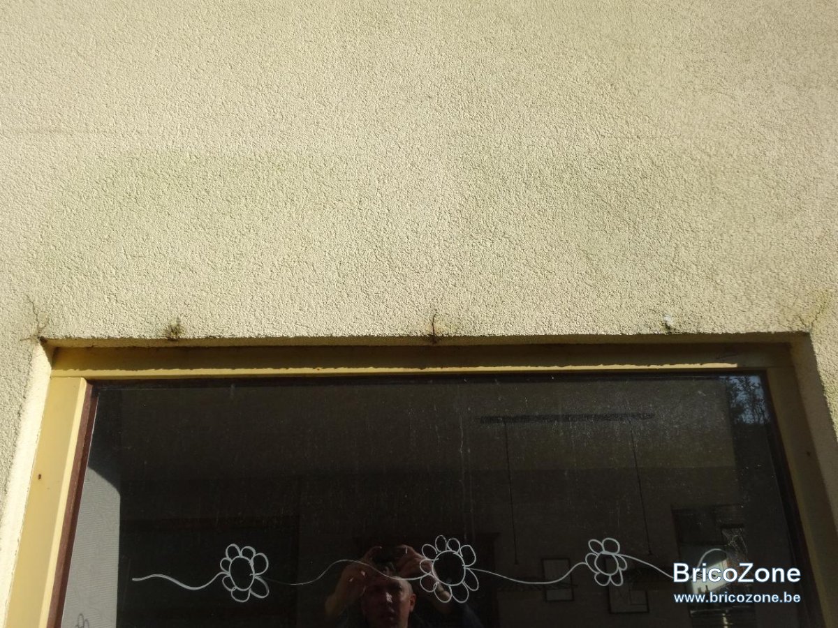 DSC00442.jpeg