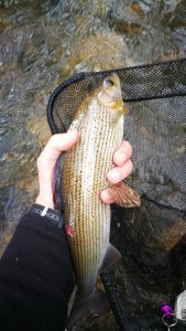 IMG_20210326_115030.jpg