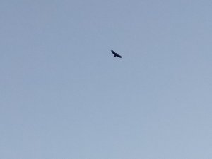 IMG20210327193749.jpg