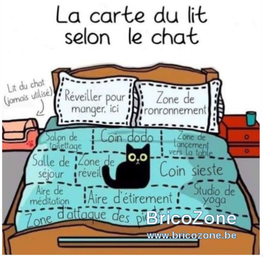 kat.PNG