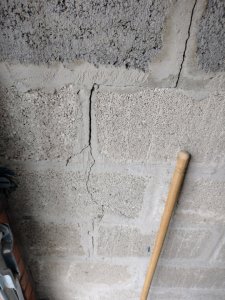 IMG_20210415_174248993.jpg