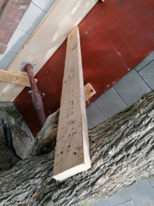 IMG_20210419_120555.jpg