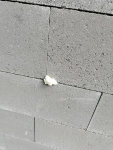 IMG_20210419_120412.jpg