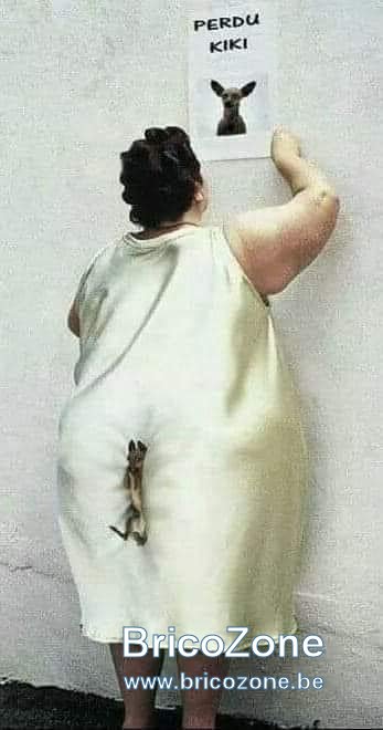 kiki.jpg