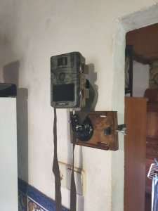 IMG20210420100511.jpg