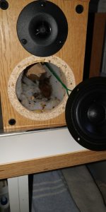 IMG_20201222_114036.jpg