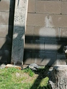 IMG_20210428_122438.jpg