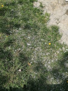 IMG_20210428_153836.jpg