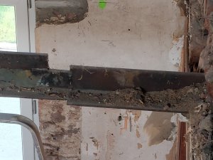 IMG_20210501_191127.jpg
