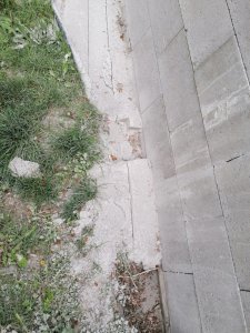 IMG_20210515_165035.jpg