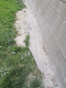 IMG_20210515_165037.jpg