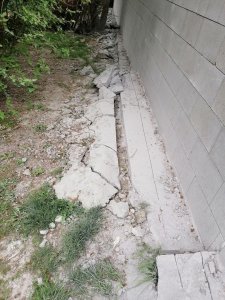 IMG_20210515_165047.jpg