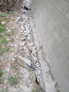 IMG_20210515_165100.jpg