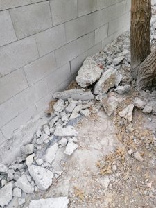 IMG_20210515_165145.jpg