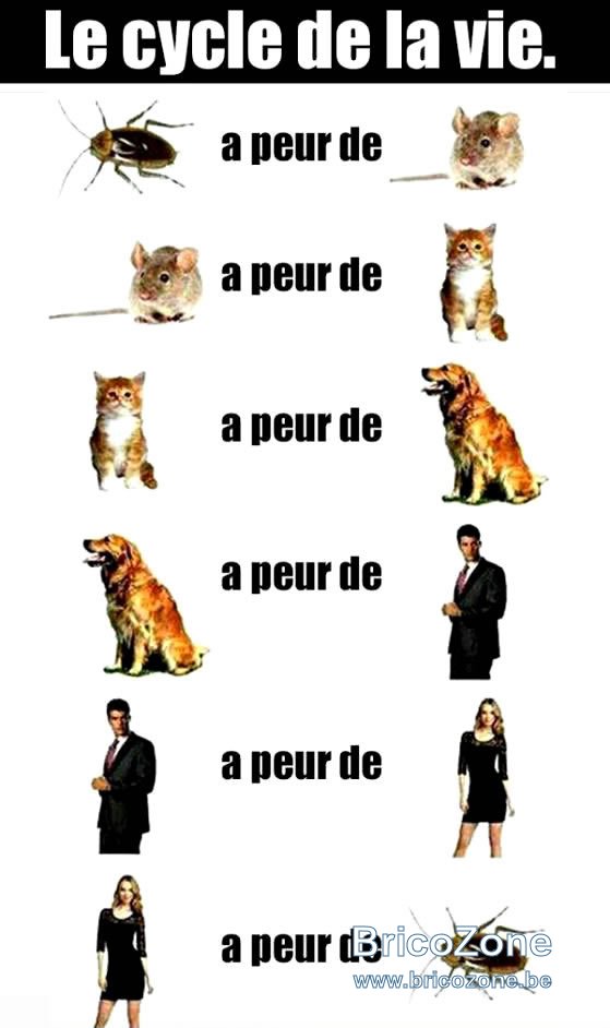 humour_004.jpg