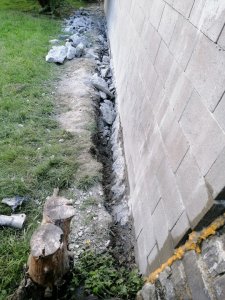 IMG_20210529_173916.jpg