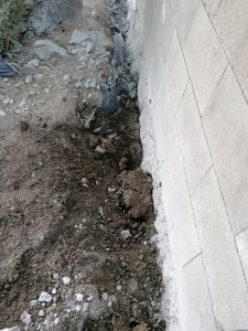 IMG_20210530_211727.jpg