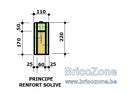 RENFORCEMENT DE SOLIVE110 x 220.jpg