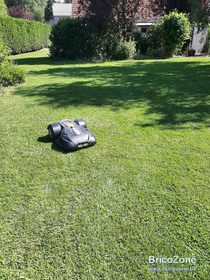 20210616_104535.jpg