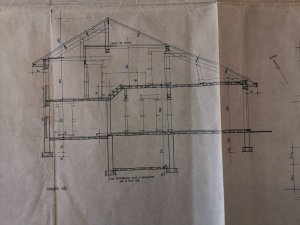 IMG_20201126_133912.jpg