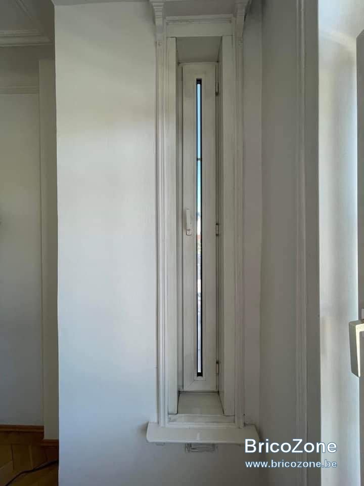 received_951296048774308.jpeg