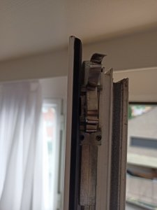 IMG20210712101658.jpg