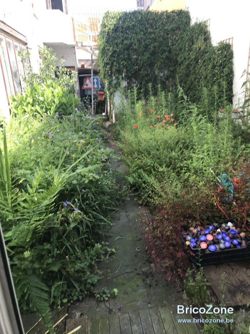 jardin.jpg