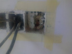 IMG_20210720_180718627.jpg