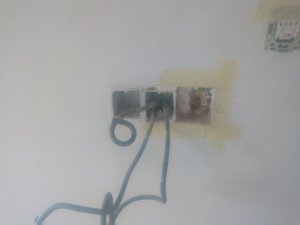 IMG_20210720_180706611.jpg