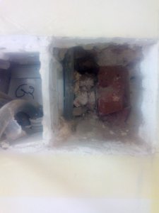 IMG_20210720_181415865.jpg