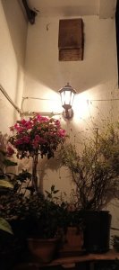 IMG_20210723_223615~2.jpg